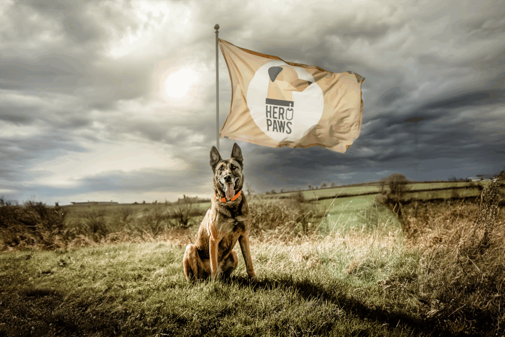 Retired service dog